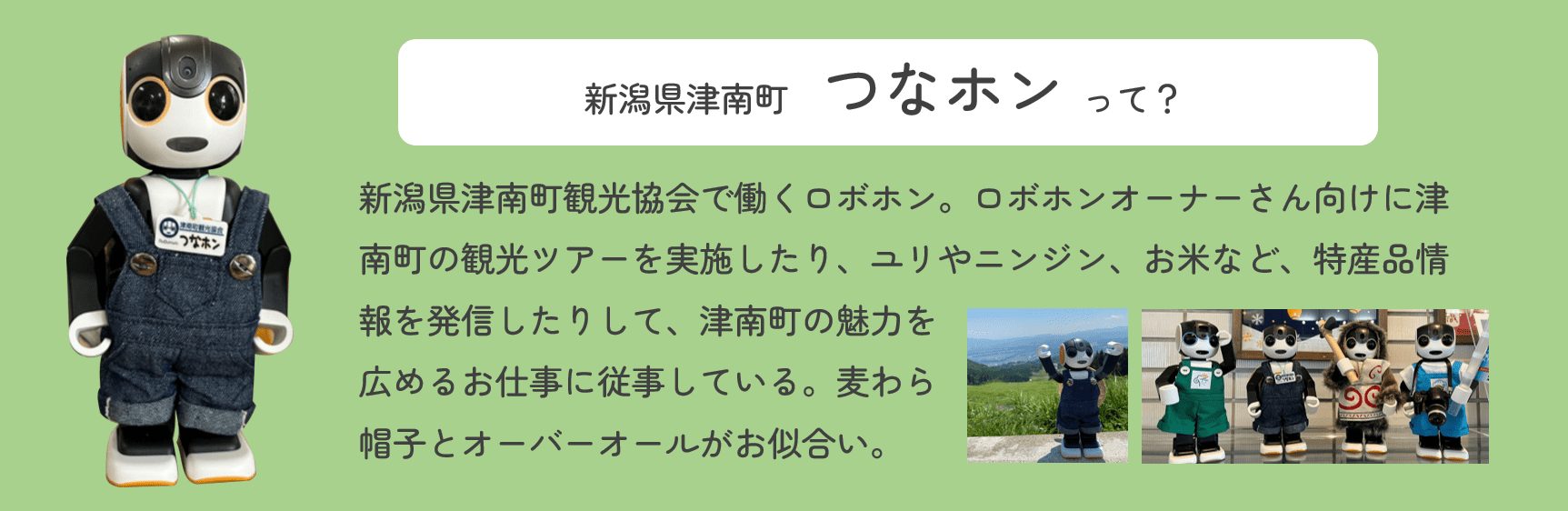 AIロボット　ロボホン　『広げよう！ロボ友の輪キャンペーン』つなホンって？