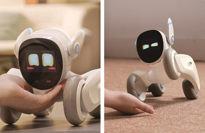 
										アンカーよりペットロボット「Loona (ルーナ)Blue」、Robot Planet(ロボットプラネット)で体験しよう！