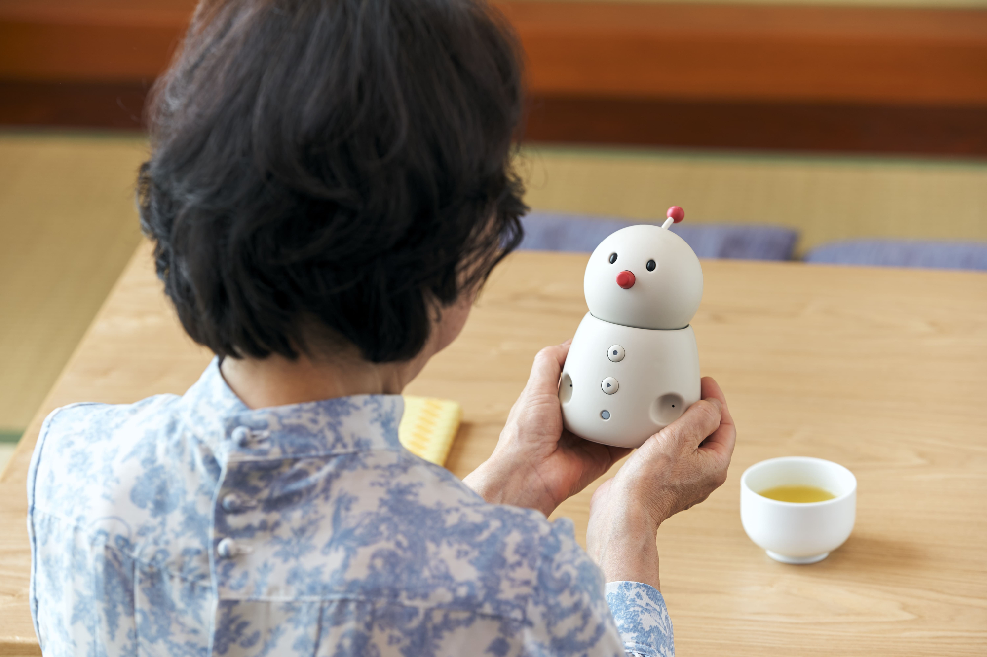 
										高齢者の孤独感を軽減するペットロボット　6選