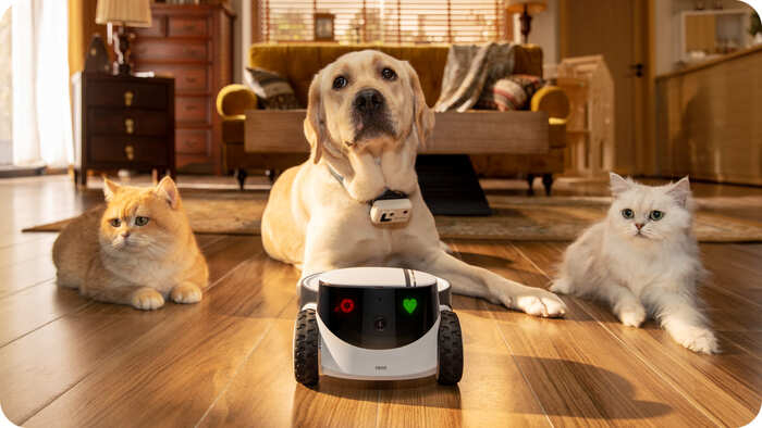 
										ペットと飼い主の絆を育むロボット「ROLA Pet Pal(ローラ ペットパル)」取扱開始