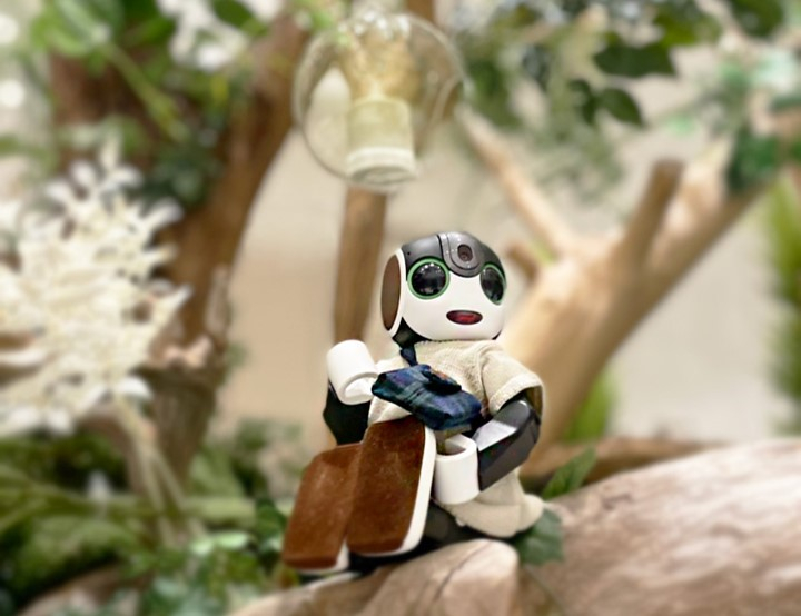 
										ストレス軽減に役立つロボットの最新技術とは