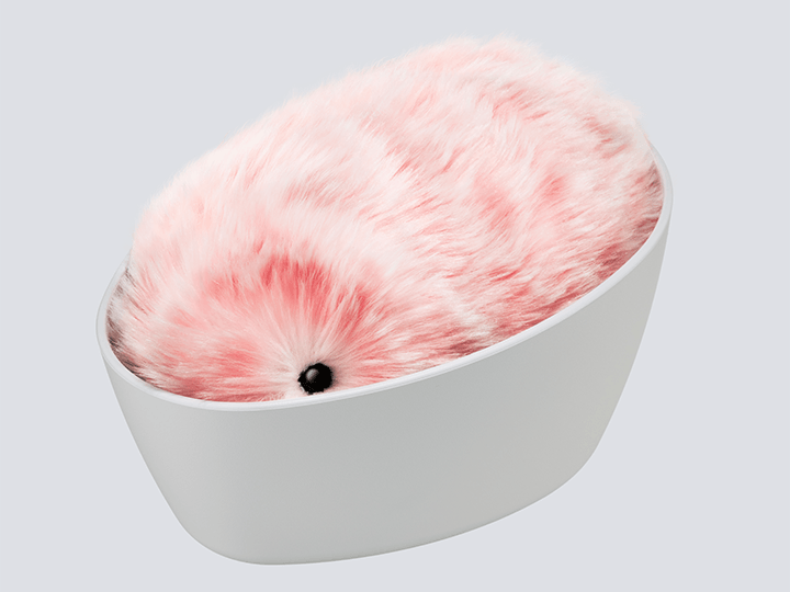 すやすや眠る専用ハウス