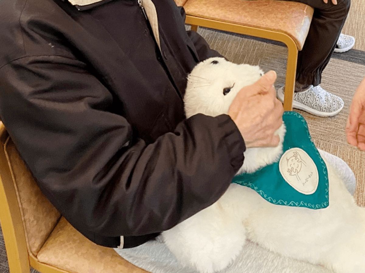 タテゴトアザラシの赤ちゃんがモデル