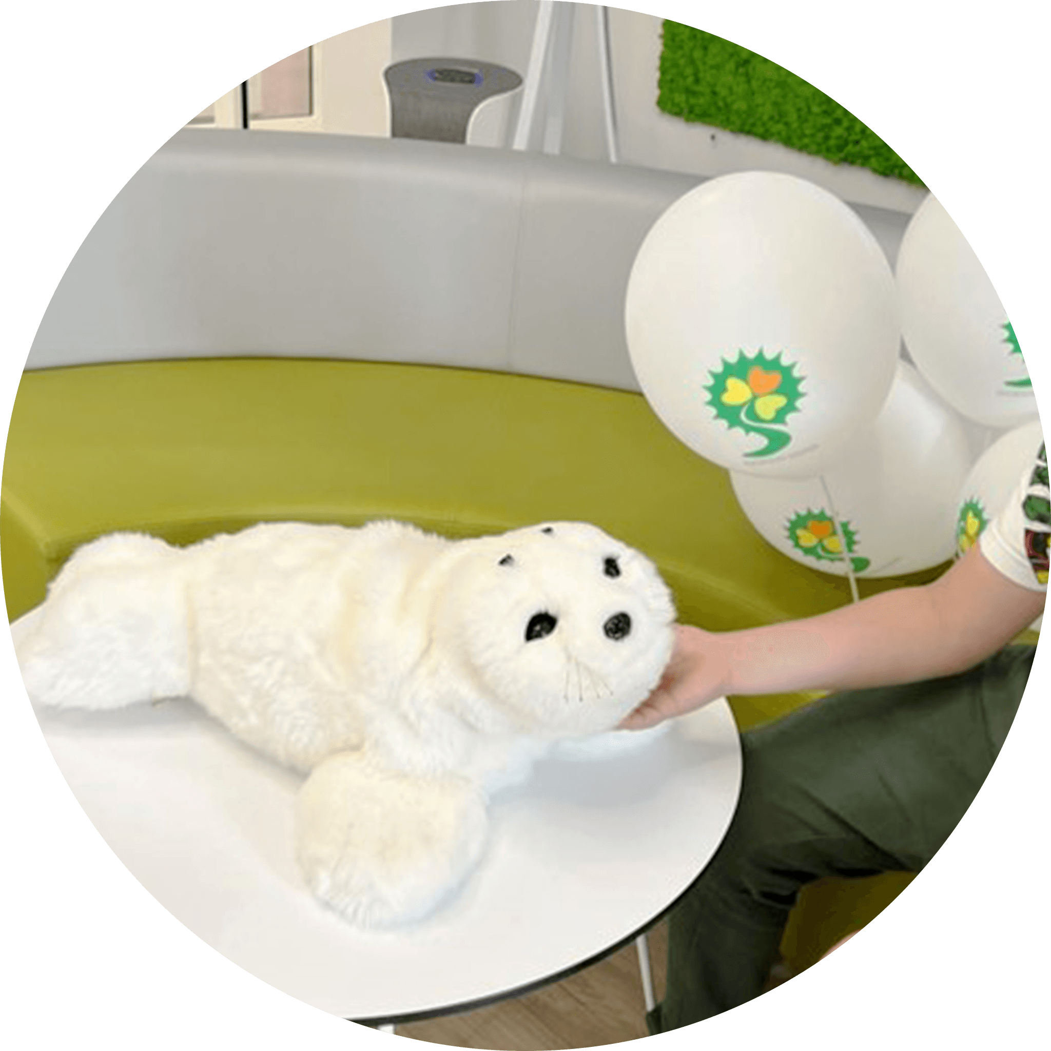 人とのふれあいで、名前や好ましい行動・性格を学習。