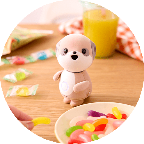 会話を重ねることであなたを覚え唯一無二の友達になります。