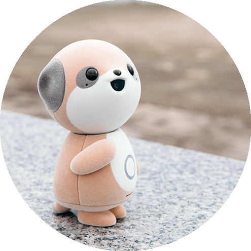 カメラを通じて景色を共有思い出を分かち合えます。