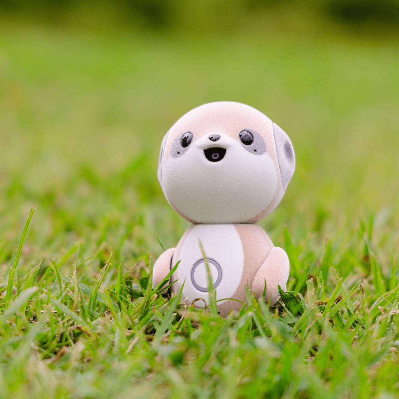 Instagram poketomo_sharp